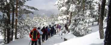 Raquetas de Nieve